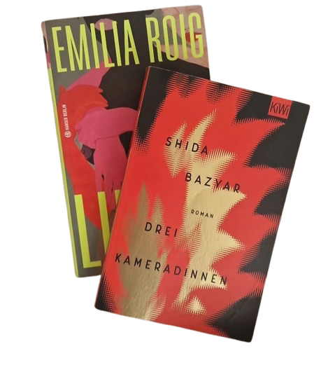zwei bücher
